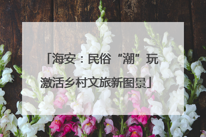 海安：民俗“潮”玩激活乡村文旅新图景