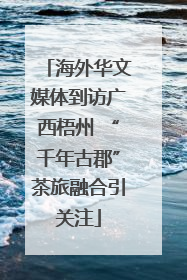 海外华文媒体到访广西梧州 “千年古郡”茶旅融合引关注