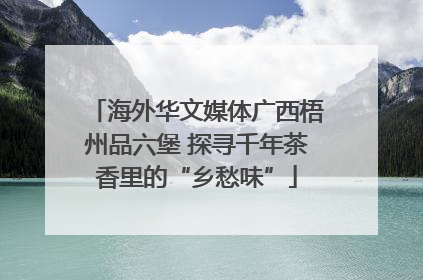 海外华文媒体广西梧州品六堡 探寻千年茶香里的“乡愁味”