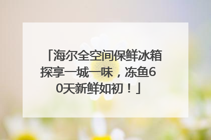 海尔全空间保鲜冰箱探享一城一味，冻鱼60天新鲜如初！