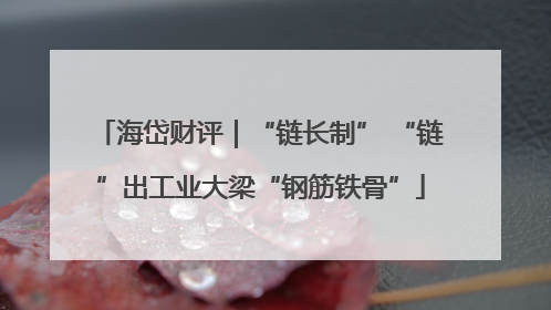 海岱财评｜“链长制” “链”出工业大梁“钢筋铁骨”