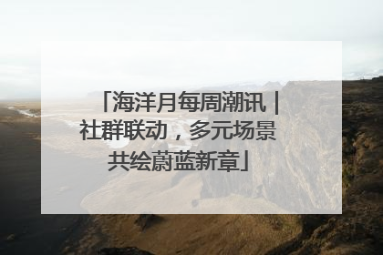 海洋月每周潮讯｜社群联动，多元场景共绘蔚蓝新章