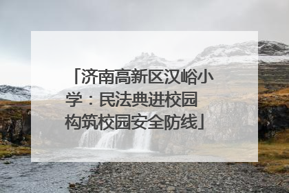 济南高新区汉峪小学：民法典进校园 构筑校园安全防线