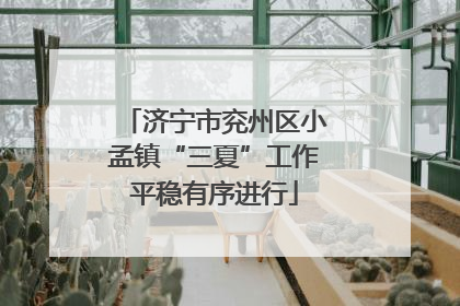 济宁市兖州区小孟镇“三夏”工作平稳有序进行