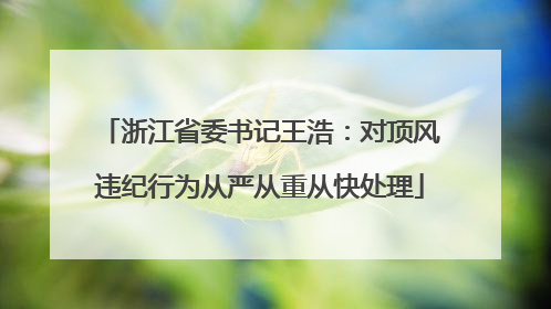 浙江省委书记王浩：对顶风违纪行为从严从重从快处理