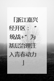 浙江嘉兴经开区：“统战+”为基层治理注入青春动力
