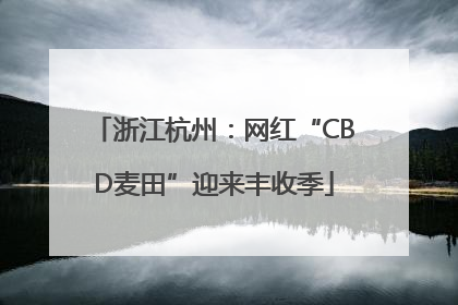 浙江杭州：网红“CBD麦田”迎来丰收季