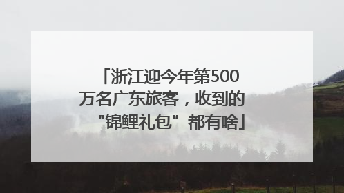 浙江迎今年第500万名广东旅客，收到的“锦鲤礼包”都有啥