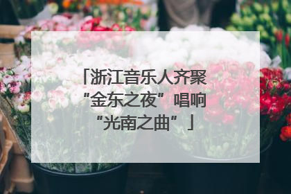 浙江音乐人齐聚“金东之夜”唱响“光南之曲”