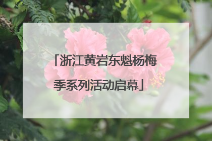 浙江黄岩东魁杨梅季系列活动启幕