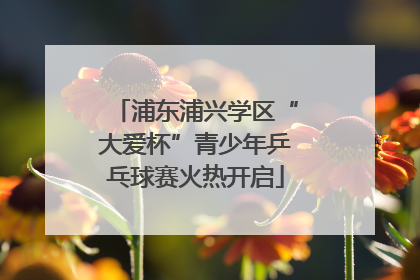 浦东浦兴学区“大爱杯”青少年乒乓球赛火热开启
