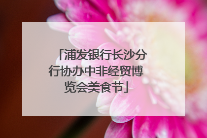 浦发银行长沙分行协办中非经贸博览会美食节