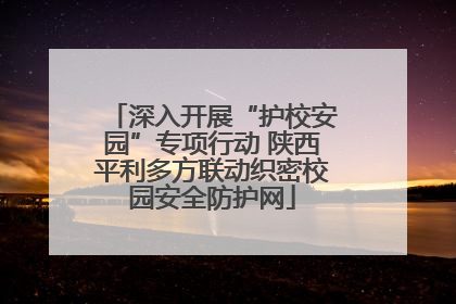 深入开展“护校安园”专项行动 陕西平利多方联动织密校园安全防护网