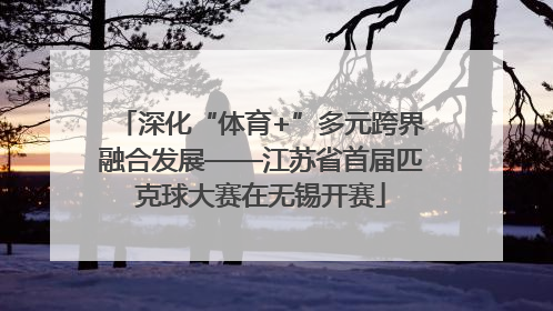 深化“体育+”多元跨界融合发展——江苏省首届匹克球大赛在无锡开赛