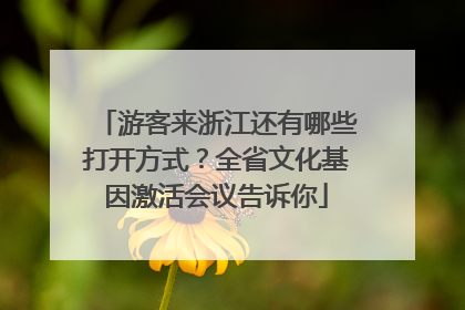 游客来浙江还有哪些打开方式？全省文化基因激活会议告诉你