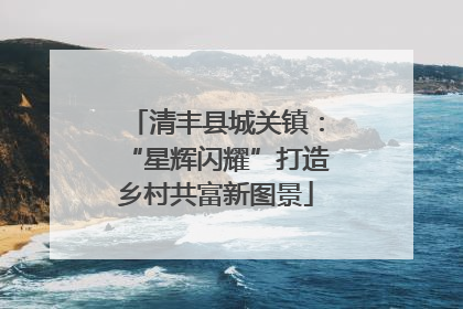 清丰县城关镇：“星辉闪耀”打造乡村共富新图景