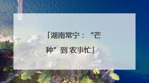 湖南常宁：“芒种”到 农事忙