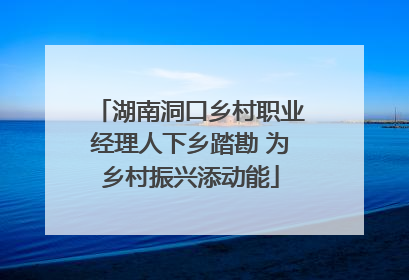 湖南洞口乡村职业经理人下乡踏勘 为乡村振兴添动能