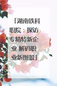 湖南铁科职院：探访专精特新企业 解码职业新图景
