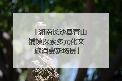 湖南长沙县青山铺镇探索多元化文旅消费新场景
