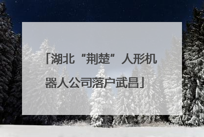 湖北“荆楚”人形机器人公司落户武昌