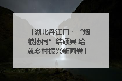 湖北丹江口：“烟粮协同”结硕果 绘就乡村振兴新画卷