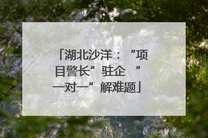 湖北沙洋：“项目警长”驻企 “一对一”解难题