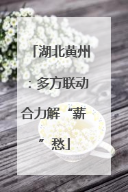 湖北黄州：多方联动合力解“薪”愁