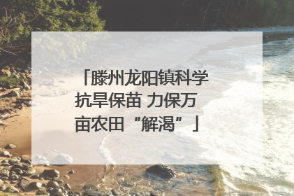 滕州龙阳镇科学抗旱保苗 力保万亩农田“解渴”