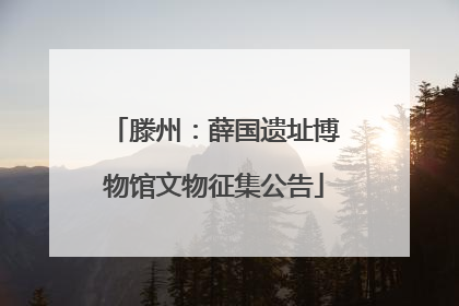 滕州：薛国遗址博物馆文物征集公告