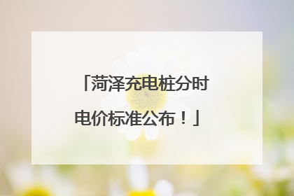 菏泽充电桩分时电价标准公布！