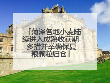 菏泽各地小麦陆续进入成熟收获期 多措并举确保夏粮颗粒归仓
