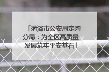 菏泽市公安局定陶分局：为全区高质量发展筑牢平安基石