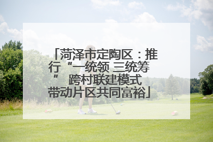 菏泽市定陶区：推行“一统领 三统筹” 跨村联建模式 带动片区共同富裕