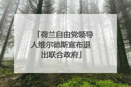 荷兰自由党领导人维尔德斯宣布退出联合政府
