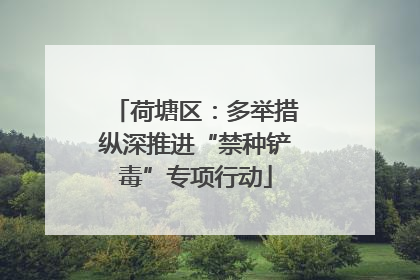 荷塘区：多举措纵深推进“禁种铲毒”专项行动