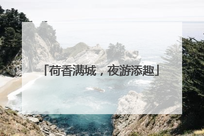 荷香满城，夜游添趣