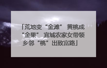 荒地变“金滩” 黄桃成“金果” 宜城农家女带领乡邻“桃”出致富路