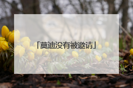 莫迪没有被邀请