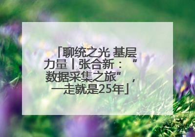 聊统之光 基层力量丨张合新：“数据采集之旅”，一走就是25年