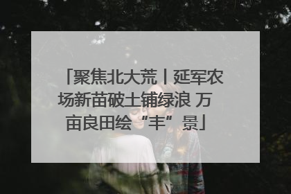 聚焦北大荒丨延军农场新苗破土铺绿浪 万亩良田绘“丰”景