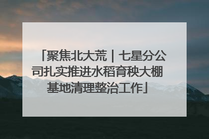 聚焦北大荒｜七星分公司扎实推进水稻育秧大棚基地清理整治工作