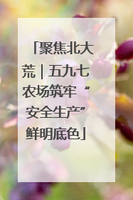 聚焦北大荒｜五九七农场筑牢“安全生产”鲜明底色