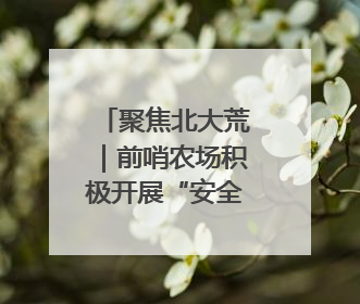聚焦北大荒｜前哨农场积极开展“安全生产月”主题宣传活动