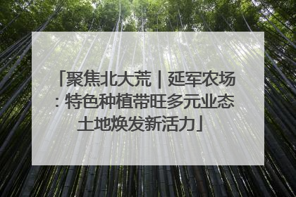 聚焦北大荒｜延军农场：特色种植带旺多元业态 土地焕发新活力