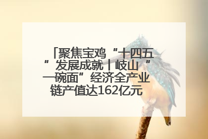 聚焦宝鸡“十四五”发展成就丨岐山“一碗面”经济全产业链产值达162亿元 入选全国典型县