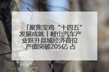 聚焦宝鸡“十四五”发展成就丨岐山汽车产业跃升县域经济首位 产值突破205亿 占规上工业75%