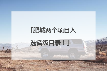 肥城两个项目入选省级目录！