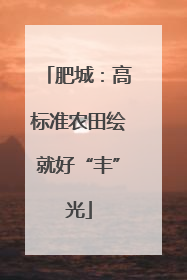 肥城：高标准农田绘就好“丰”光