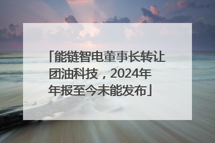 能链智电董事长转让团油科技，2024年年报至今未能发布